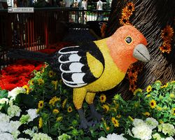 Nevada - Las Vegas - Bellagio Conservatory & Botanical Gardens