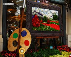 Nevada - Las Vegas - Bellagio Conservatory & Botanical Gardens