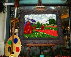 Nevada - Las Vegas - Bellagio Conservatory & Botanical Gardens