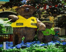 Nevada - Las Vegas - Bellagio Conservatory & Botanical Gardens