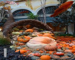 Nevada - Las Vegas - Bellagio Conservatory & Botanical Gardens