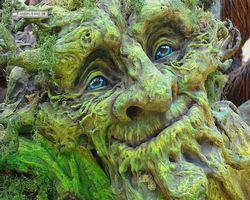 Bellagio Conservatory & Botanical Gardens