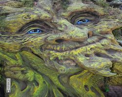 Nevada - Las Vegas - Bellagio Conservatory & Botanical Gardens