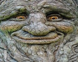 Nevada - Las Vegas - Bellagio Conservatory & Botanical Gardens