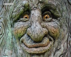 Nevada - Las Vegas - Bellagio Conservatory & Botanical Gardens