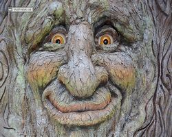 Nevada - Las Vegas - Bellagio Conservatory & Botanical Gardens