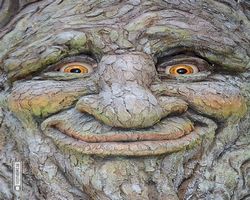 Nevada - Las Vegas - Bellagio Conservatory & Botanical Gardens