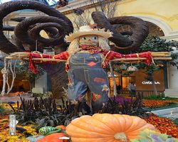 Nevada - Las Vegas - Bellagio Conservatory & Botanical Gardens