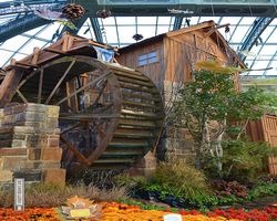 Nevada - Las Vegas - Bellagio Conservatory & Botanical Gardens