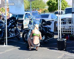 Nevada - Las Vegas - Las Vegas Bikefest 2013