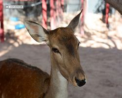 Nevada - Las Vegas - Bonnie Springs Ranch