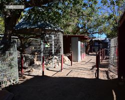 Nevada - Las Vegas - Bonnie Springs Ranch