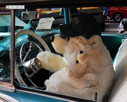 Nevada - Las Vegas - Fremont Street Experience - Cruiser Days - 2010