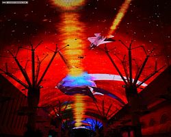 Nevada - Las Vegas - Fremont Street Experience