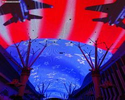 Nevada - Las Vegas - Fremont Street Experience