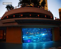 Nevada - Las Vegas - Hotels & Casinos - Golden Nugget