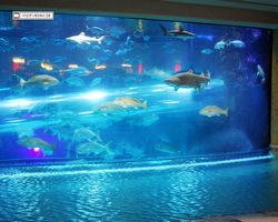 Nevada - Las Vegas - Hotels & Casinos - Golden Nugget