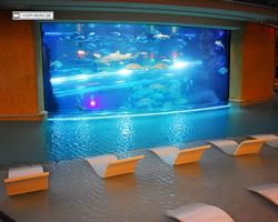 Nevada - Las Vegas - Hotels & Casinos - Golden Nugget