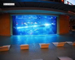 Nevada - Las Vegas - Hotels & Casinos - Golden Nugget