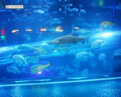 Nevada - Las Vegas - Hotels & Casinos - Golden Nugget