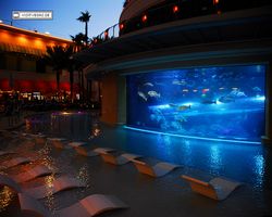 Nevada - Las Vegas - Hotels & Casinos - Golden Nugget