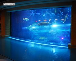 Nevada - Las Vegas - Hotels & Casinos - Golden Nugget