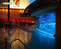 Nevada - Las Vegas - Hotels & Casinos - Golden Nugget