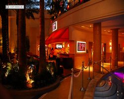 Nevada - Las Vegas - Hotels & Casinos - Golden Nugget