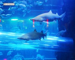 Nevada - Las Vegas - Hotels & Casinos - Golden Nugget