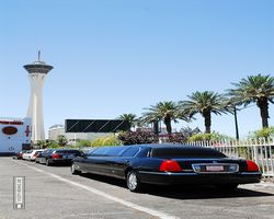 Nevada - Las Vegas - A Wedding Chapel in LV