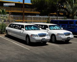 Nevada - Las Vegas - Little White Wedding Chapel