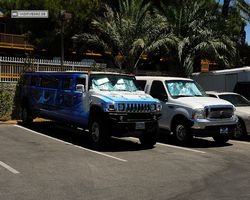 Nevada - Las Vegas - Little White Wedding Chapel