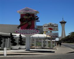 Nevada - Las Vegas - Little White Wedding Chapel