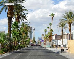Nevada - Las Vegas - Las Vegas Boulevard