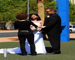 Nevada - Las Vegas - Las Vegas Boulevard