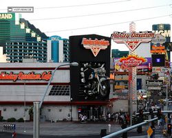 Nevada - Las Vegas - Las Vegas Boulevard