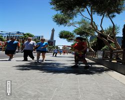 Nevada - Las Vegas - Las Vegas Boulevard