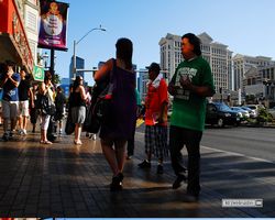 Nevada - Las Vegas - Las Vegas Boulevard