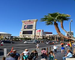 Nevada - Las Vegas - Las Vegas Boulevard
