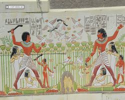 Nevada - Las Vegas - Hotels & Casinos - Luxor