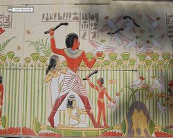 Nevada - Las Vegas - Hotels & Casinos - Luxor