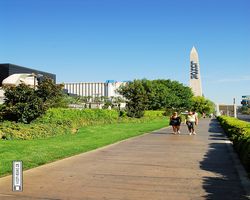 Nevada - Las Vegas - Hotels & Casinos - Luxor