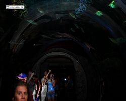 Nevada - Las Vegas - Hotels & Casinos - Mandalay Bay