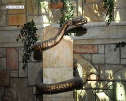 Nevada - Las Vegas - Hotels & Casinos - Mandalay Bay