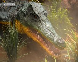 Nevada - Las Vegas - Hotels & Casinos - MGM Grand