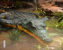 Nevada - Las Vegas - Hotels & Casinos - MGM Grand