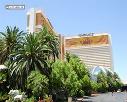 Nevada - Las Vegas - Hotels & Casinos - Mirage