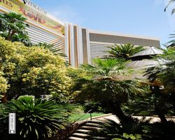 Nevada - Las Vegas - Hotels & Casinos - Mirage