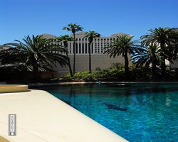 Nevada - Las Vegas - Hotels & Casinos - Mirage