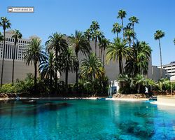 Nevada - Las Vegas - Hotels & Casinos - Mirage